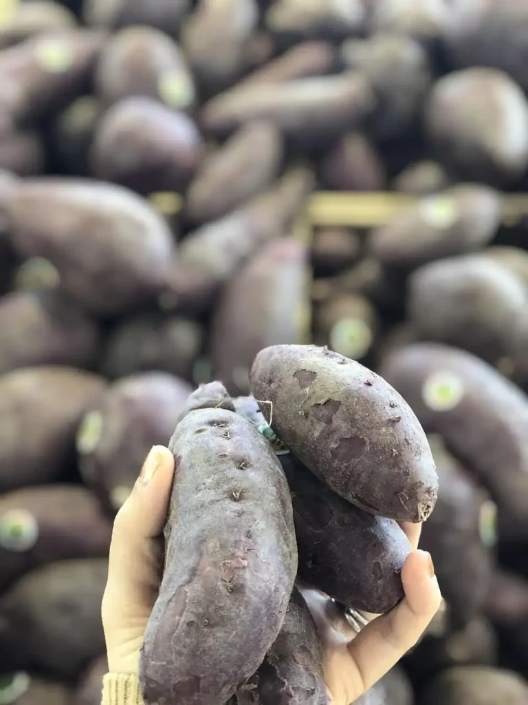 AgroExoressRD